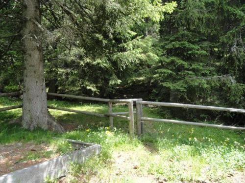 Outdoor Pictures 22