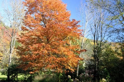 Outdoor Pictures 22