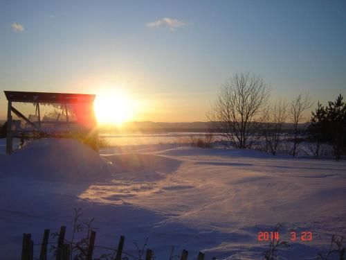 Outdoor Pictures 19