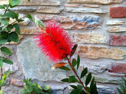 Outdoor Pictures 21