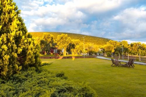 Outdoor Pictures 20