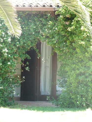 Outdoor Pictures 22