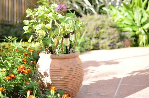 Outdoor Pictures 22