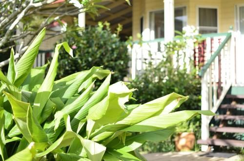 Outdoor Pictures 21