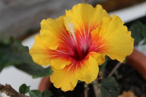 Outdoor Pictures 21