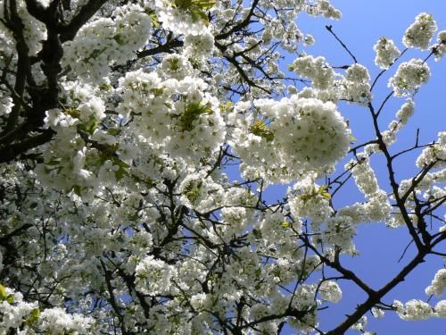 Outdoor Pictures 20