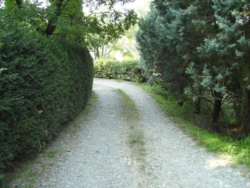 Outdoor Pictures 18