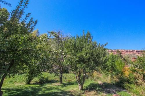 Outdoor Pictures 22