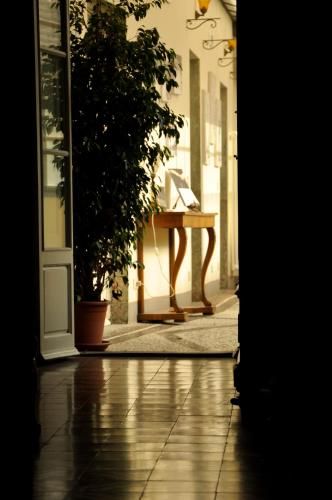 Outdoor Pictures 24