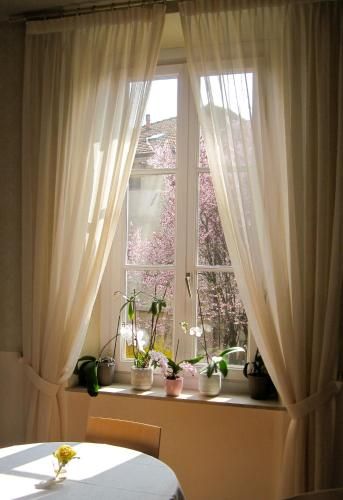 Outdoor Pictures 17