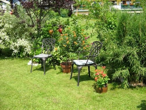 Outdoor Pictures 18