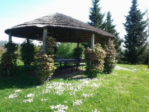 Outdoor Pictures 23