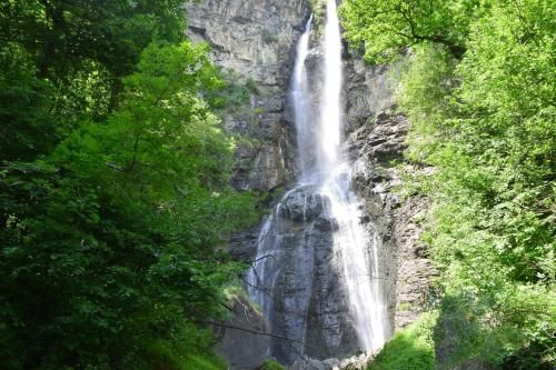 Outdoor Pictures 22