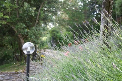 Outdoor Pictures 17
