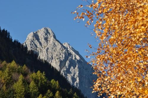 Outdoor Pictures 22