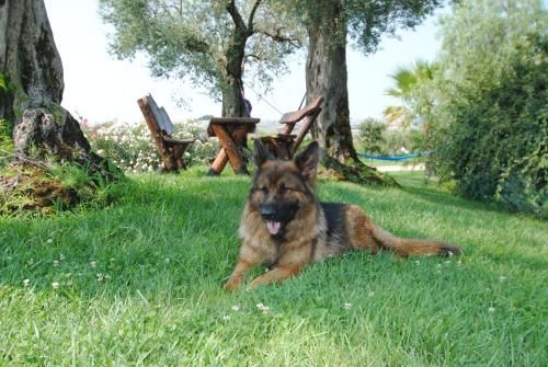 Outdoor Pictures 20