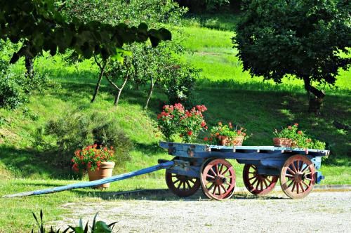 Outdoor Pictures 15
