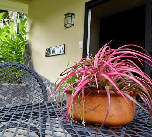 Outdoor Pictures 7
