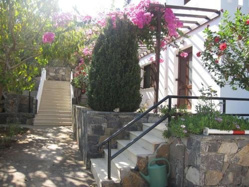 Outdoor Pictures 6