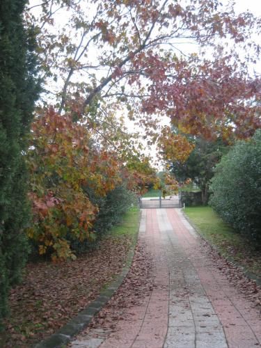 Outdoor Pictures 18