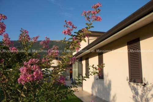 Outdoor Pictures 24