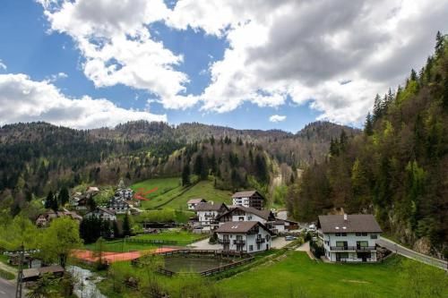 Outdoor Pictures 24