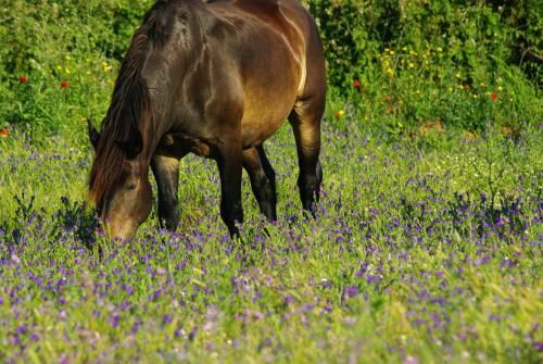 Outdoor Pictures 21