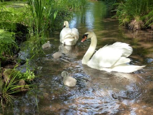 Outdoor Pictures 15