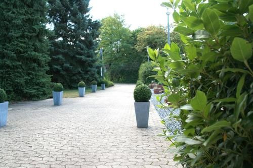 Outdoor Pictures 22