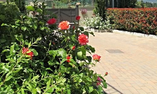 Outdoor Pictures 21