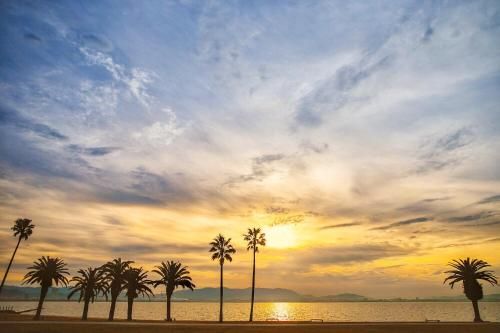 Outdoor Pictures 21