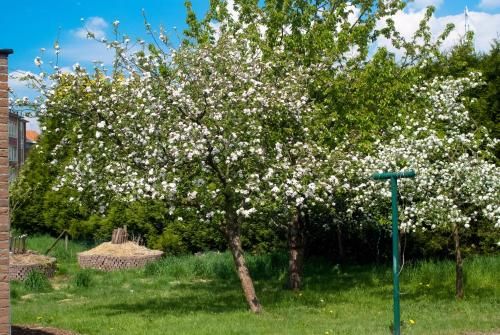 Outdoor Pictures 15