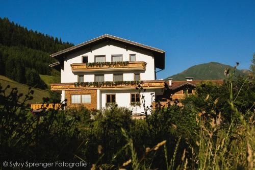Outdoor Pictures 21