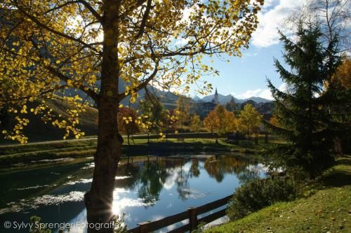 Outdoor Pictures 19