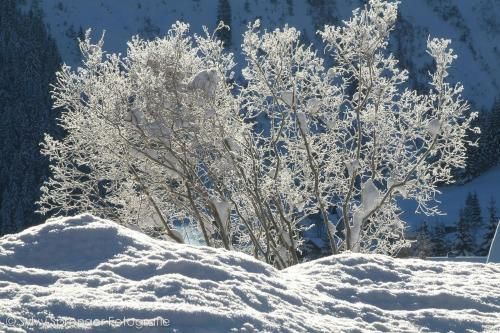 Outdoor Pictures 16