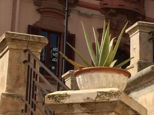 Outdoor Pictures 15