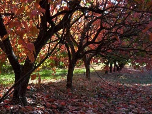 Outdoor Pictures 20