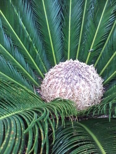Outdoor Pictures 15