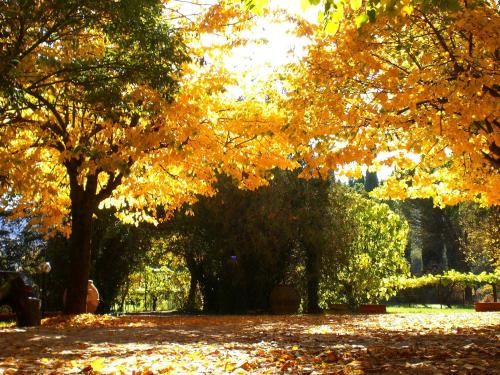 Outdoor Pictures 20