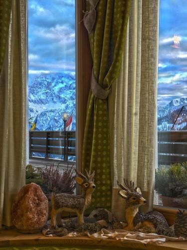 Outdoor Pictures 17