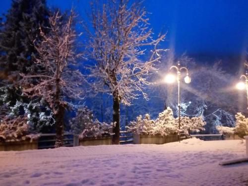 Outdoor Pictures 19