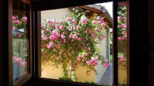 Outdoor Pictures 15