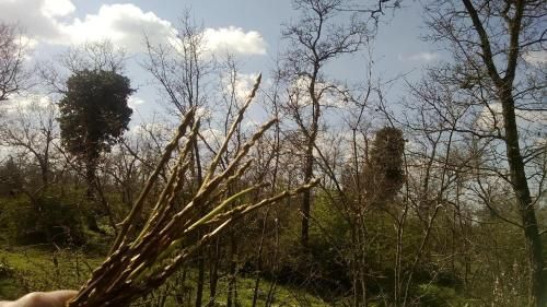 Outdoor Pictures 22
