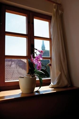 Outdoor Pictures 20