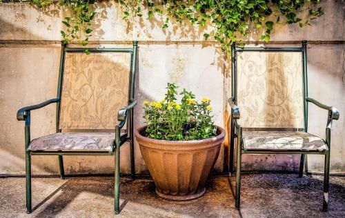Outdoor Pictures 22