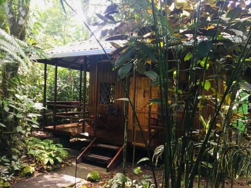 Coral Hill Bungalows