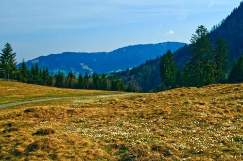 Outdoor Pictures 19