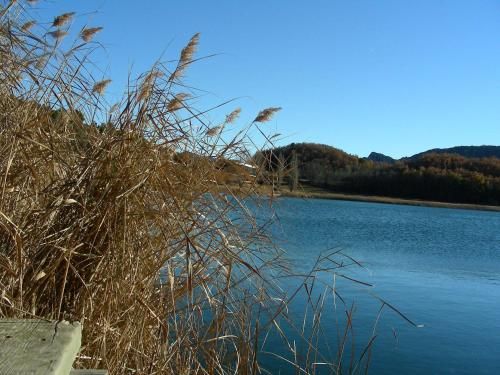 Outdoor Pictures 23