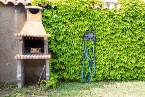 Outdoor Pictures 22