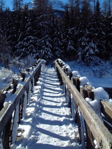 Outdoor Pictures 19